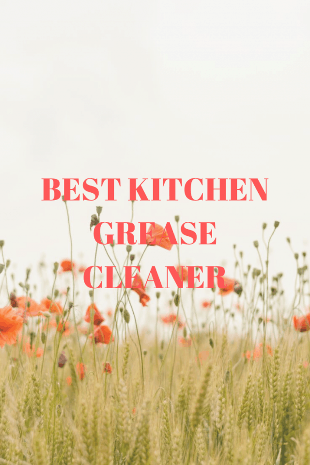 Best Kitchen Grease Cleaner Top Best Kitchen