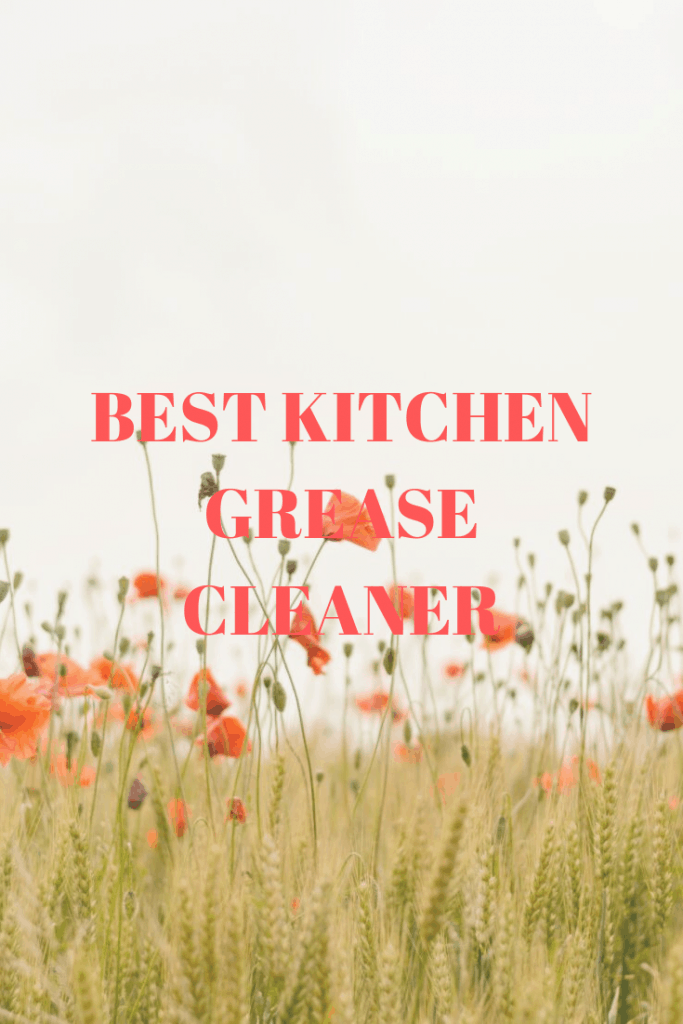 Best Kitchen Grease Cleaner - Top Best Kitchen