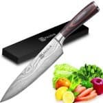 Chef Knife - PAUDIN Pro Kitchen Kn